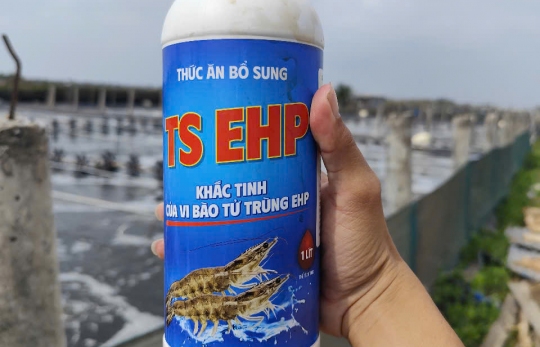 Giải Pháp Phòng Và Hỗ Trợ Điều Trị EHP của Trường Sinh Group