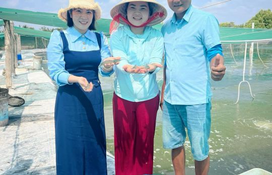 Thảo Dược Trong Nuôi Tôm: Giải Pháp Bền Vững Thay Thế Kháng Sinh