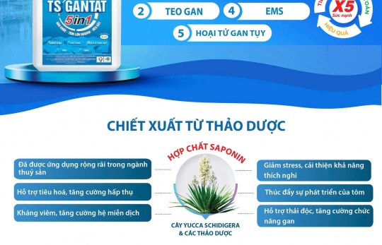 TS GANTAT 5IN1 - Giải Pháp Bảo Vệ Gan Toàn Diện Giúp Tôm Khỏe, Tiết Kiệm Chi Phí 