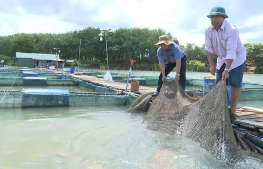 GIA LAI TÁI CƠ CẤU NGÀNH THỦY SẢN THEO HƯỚNG ĐI BỀN VỮNG 