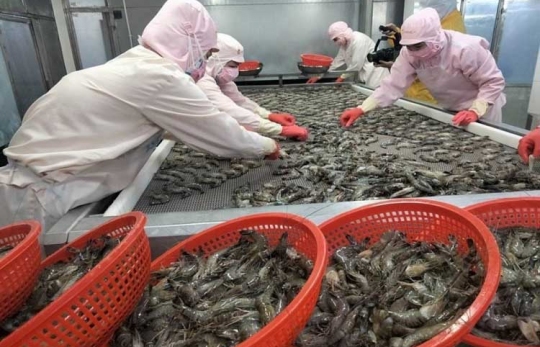 CHUYỂN ĐỘNG THỊ TRƯỜNG: ĐẾM NGƯỢC LỆNH 280 CỦA TRUNG QUỐC – DOANH NGHIỆP THỦY SẢN PHẢI HÀNH ĐỘNG NGAY!