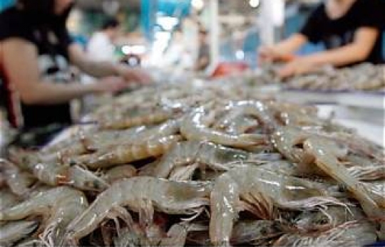 THỦY SẢN VIỆT NAM ĐÓN CƠ HỘI LỚN TỪ THỊ TRƯỜNG TRUNG QUỐC